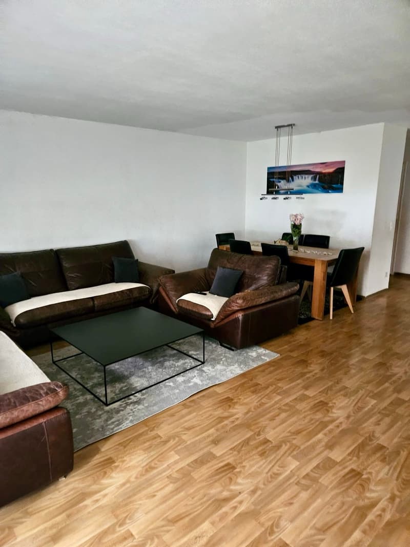 Spacious apartment in a quiet location (3)