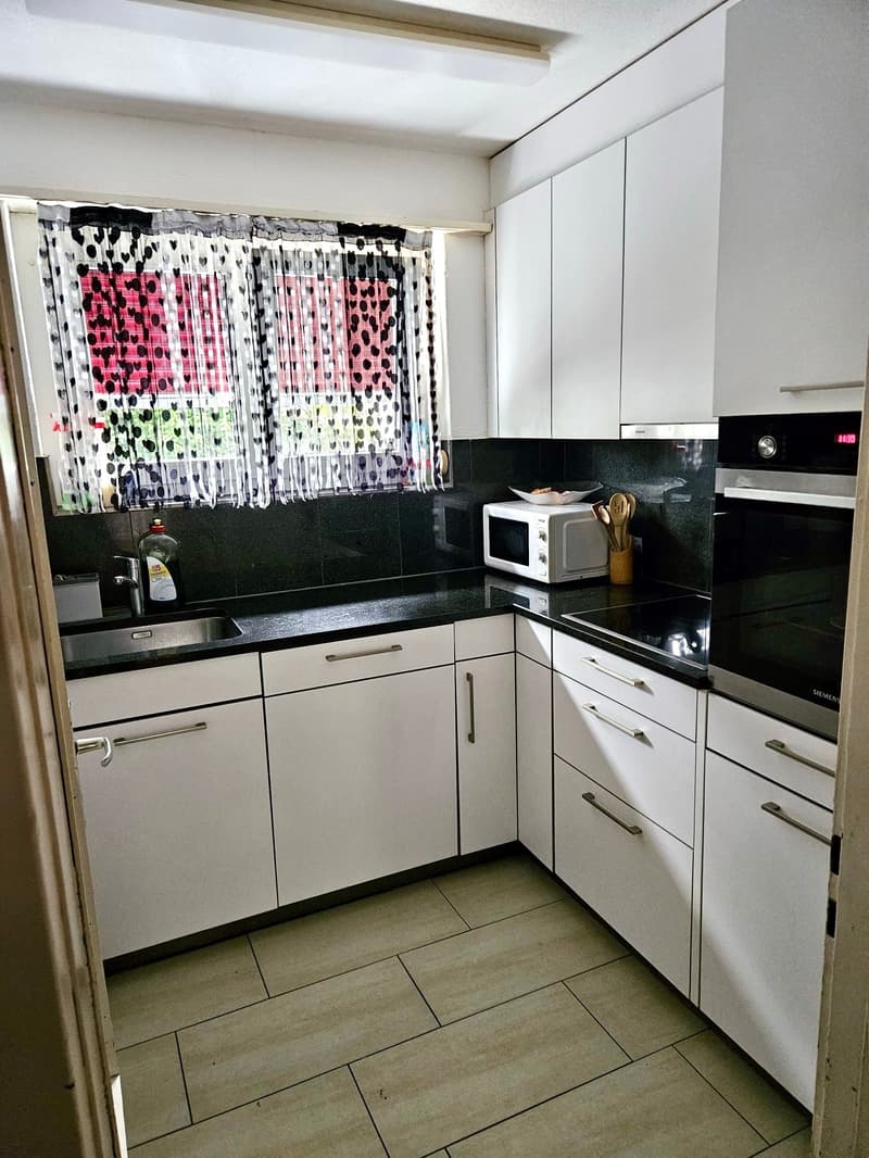 Spacious apartment in a quiet location (7)