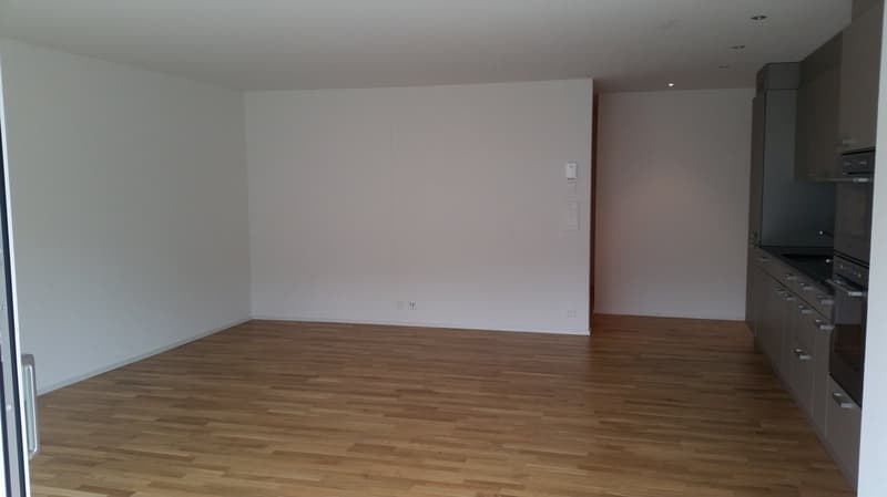 Appartamento single moderno con vista sul verde (4)