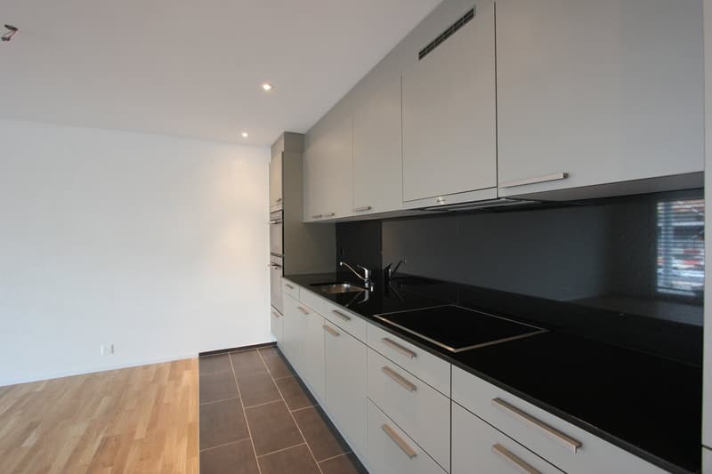 Beautiful apartment with large balcony (2)