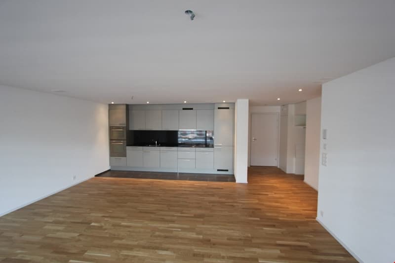 Beautiful apartment with large balcony (3)