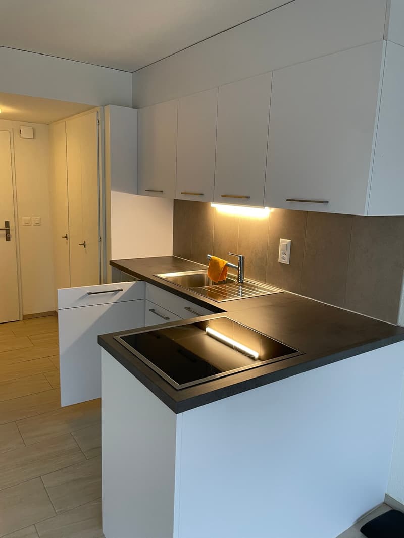 Grosszügige und ruhige Wohnung (1)