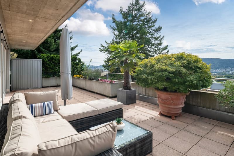 Dream attic terrace apartment... (6)