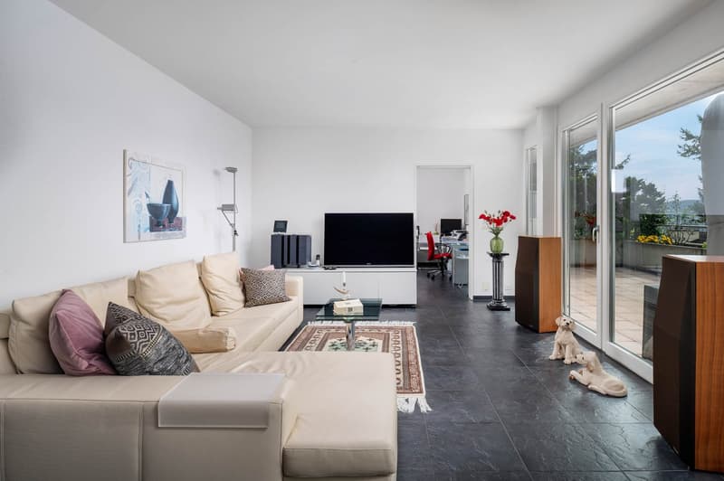 Dream attic terrace apartment... (4)