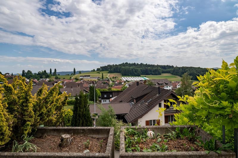 Living with a view! (19)