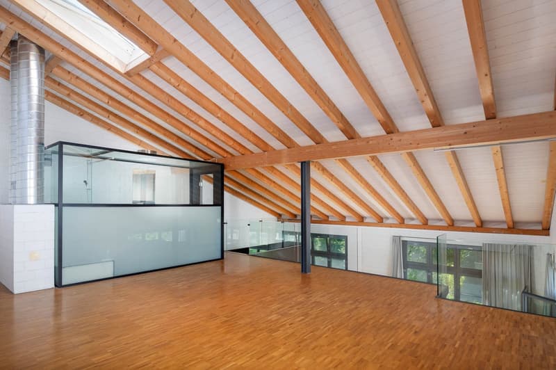 Loft-Wohnung an bester Lage! (14)