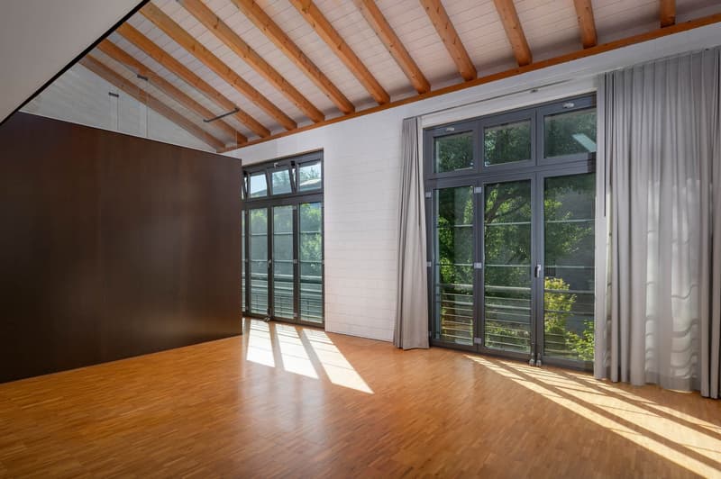 Loft-Wohnung an bester Lage! (12)