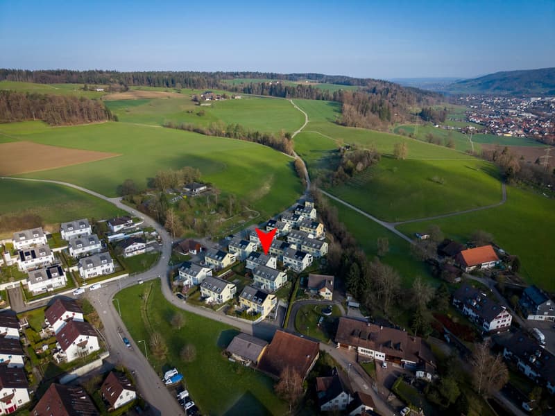 Glückstreffer! (2)