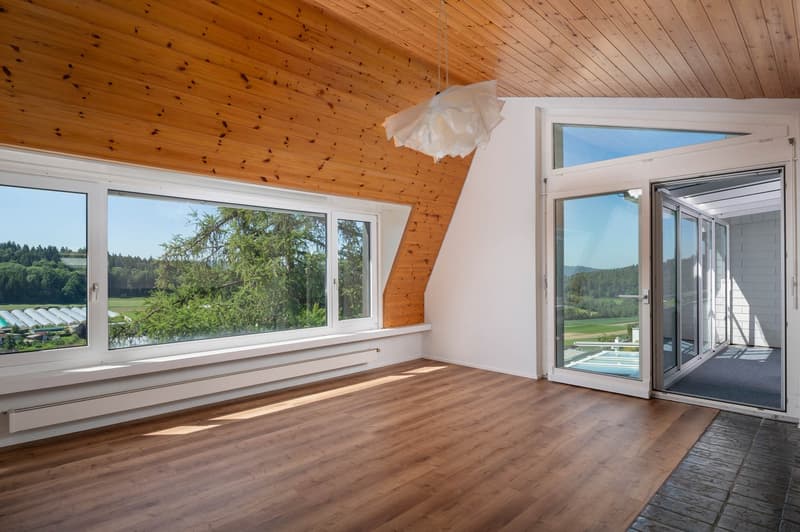 Grosszügige 3½-Zimmer-Dachwohnung mit Wintergarten! (2)