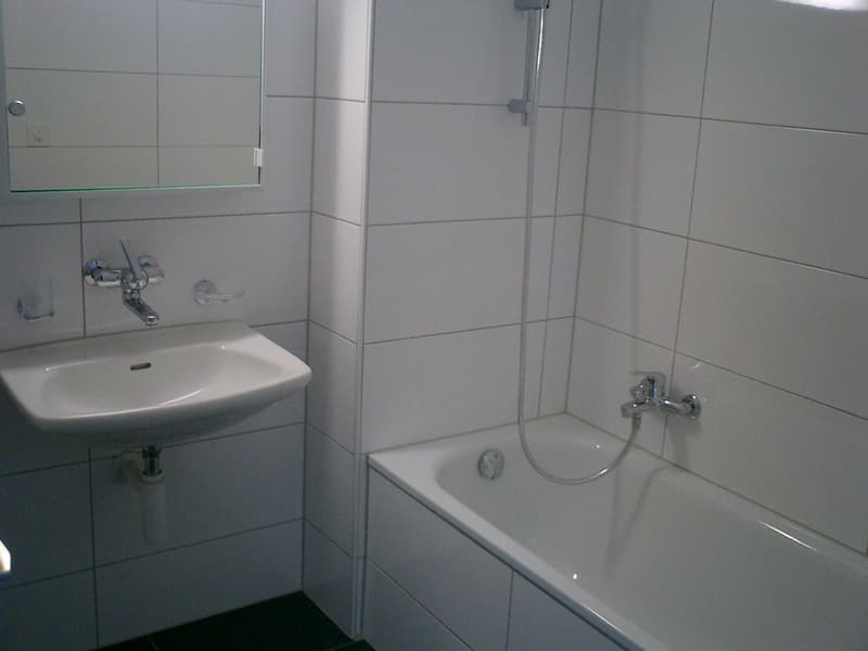 white tiled walls, white sink, mirror, bathtub, showerhead