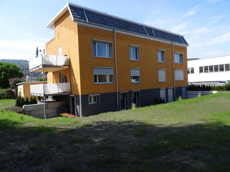 geräumige 3 ½-Zi-Wohnung mit grossem Balkon (6)