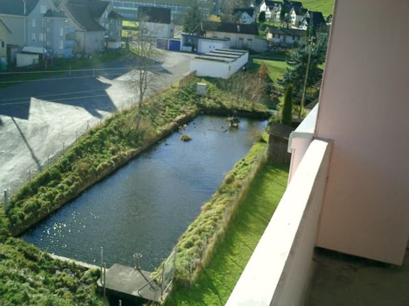 Weiher vor dem Sitzplatz