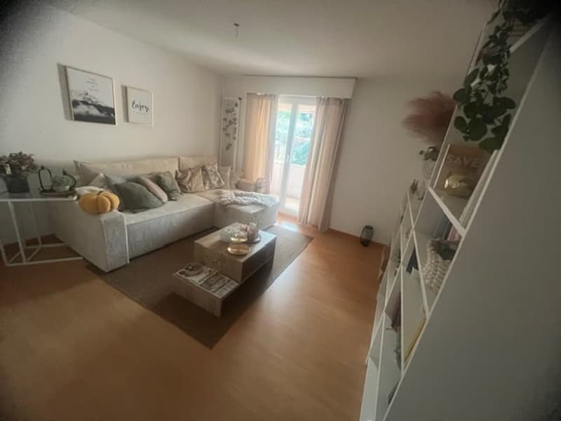 renovierte, sonnige 3.5-Zi-Wohnung mit sonnigem Balkon (5)