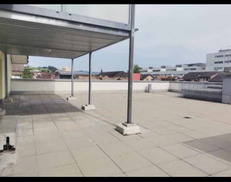 Cozy 4.5-room apartment with large terrace (1)