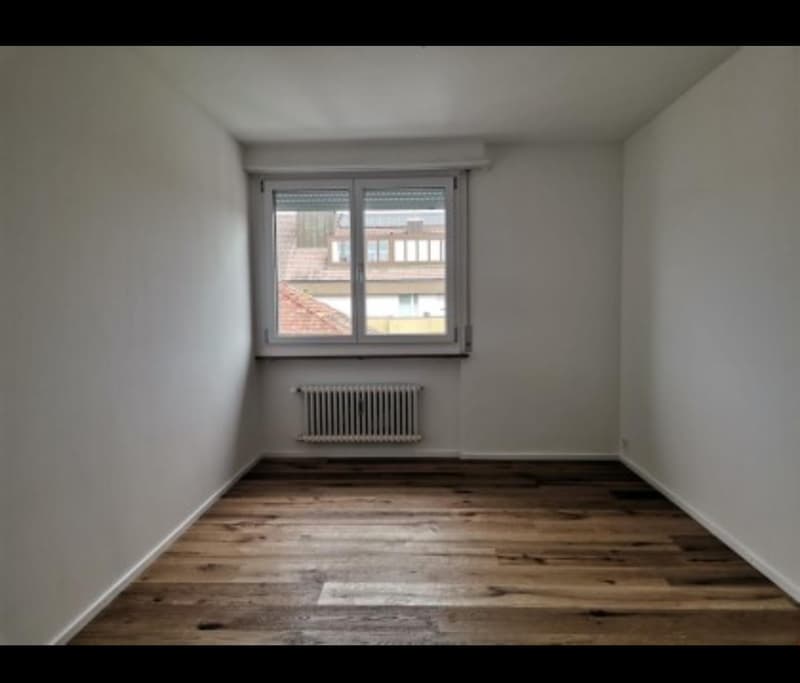 Cozy 4.5-room apartment with large terrace (9)