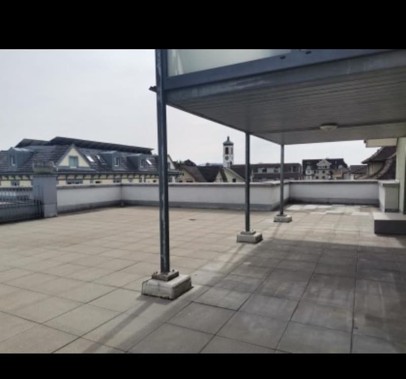 Cozy 4.5-room apartment with large terrace (2)