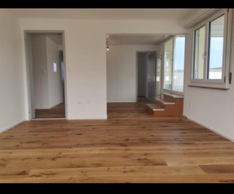 Cozy 4.5-room apartment with large terrace (3)