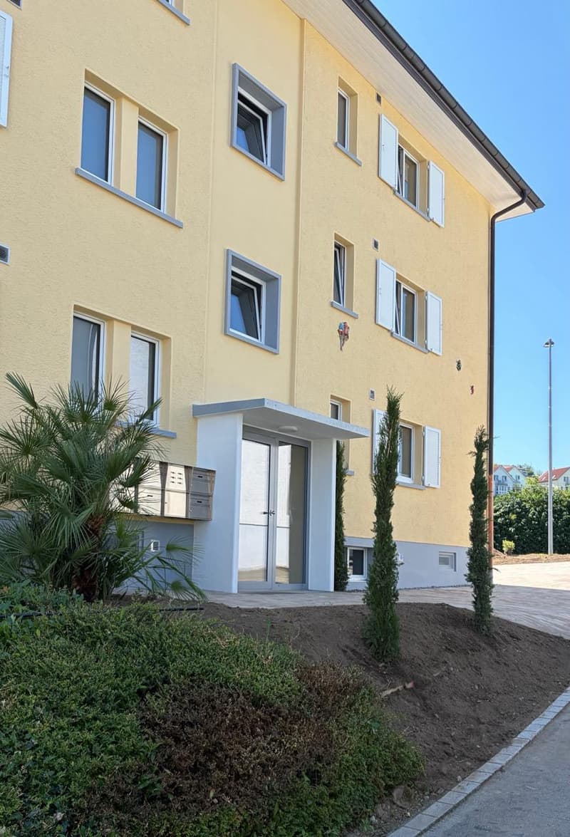 Komplett renovierte 4-Zimmer-Wohnung mit grossem Balkon (4)