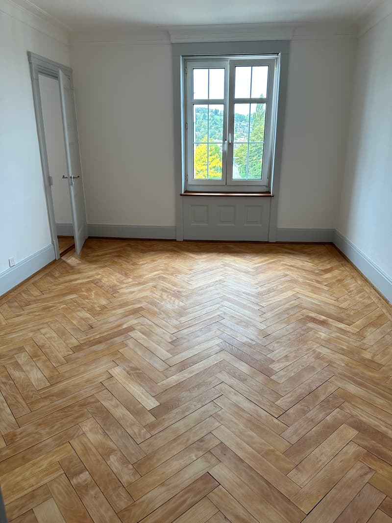 Grösszügige und gepflegte Wohnung nahe Zentrum (8)