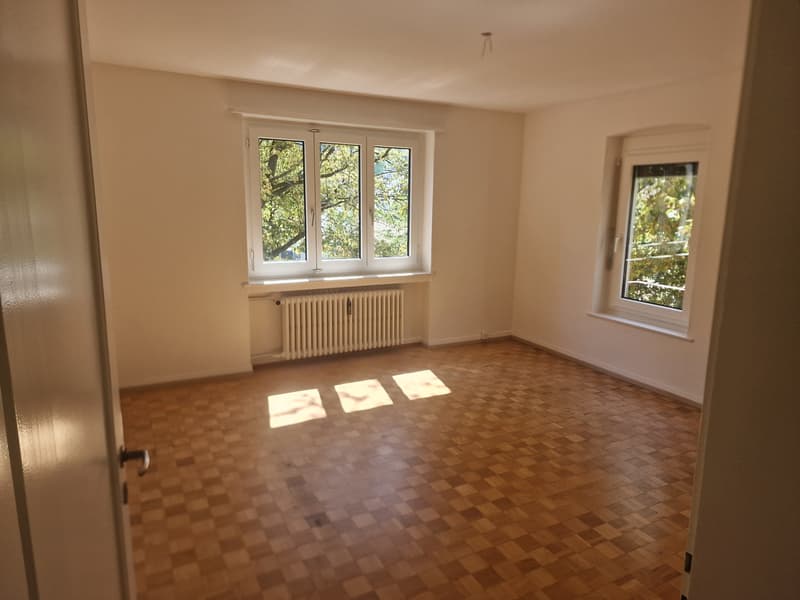 Wunderschöne 1 Zimmer Wohnung in Frauenfeld zur Miete (2)