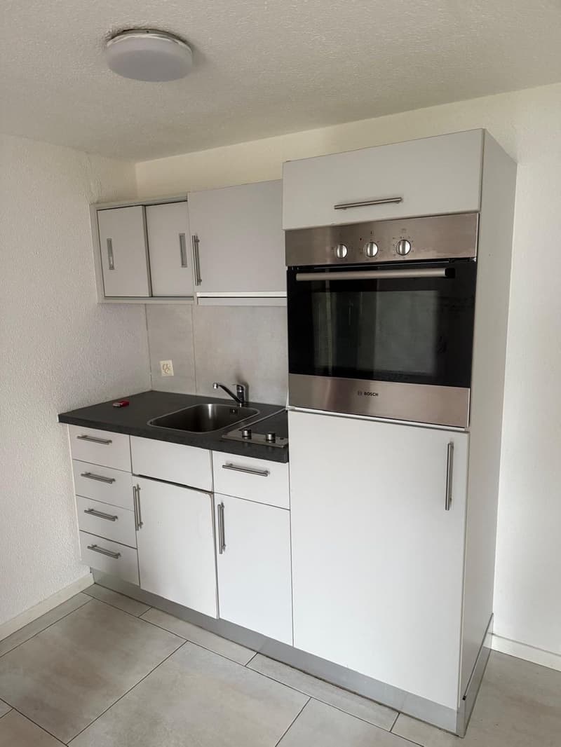 Appartamento moderno di 2 camere con balcone e vista sul lago a Rorschach (3)