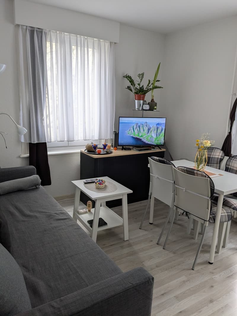 Appartement d'une pièce confortable au 1er étage à St. Gallen (2)