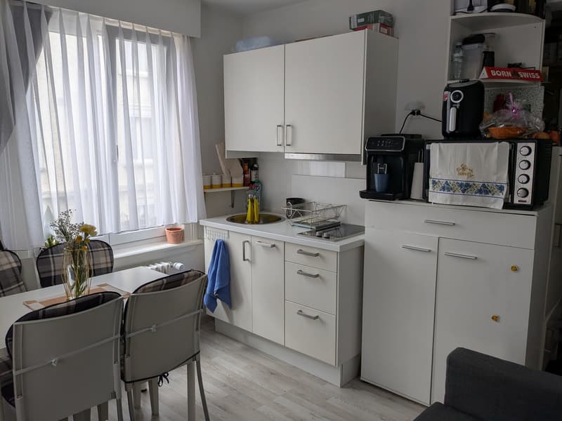 Appartement d'une pièce confortable au 1er étage à St. Gallen (3)