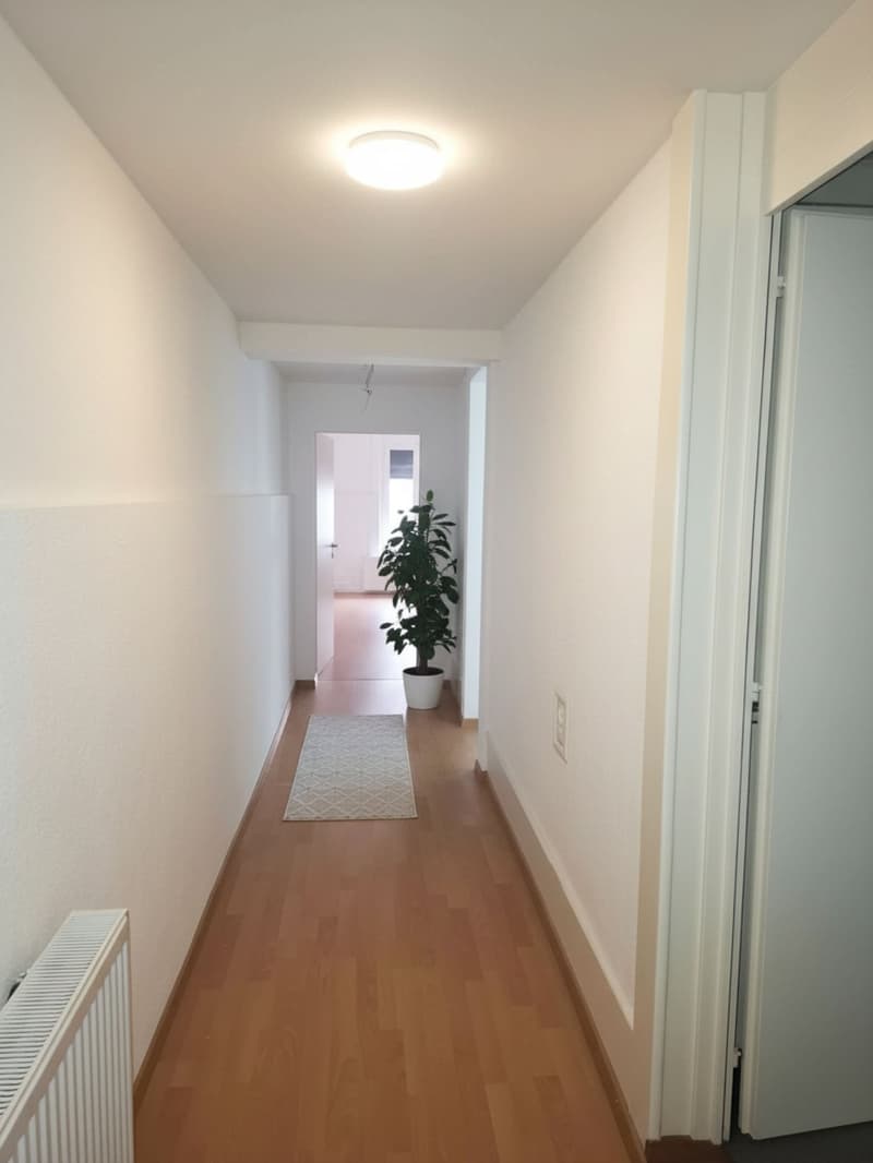 Appartement de 3,5 pièces neuve et non meublé, situé au centre de Biel (6)