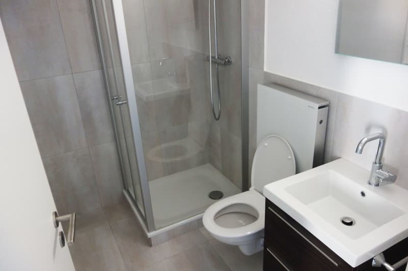 To rent: Friendly 2-room apartment in Rorschach (2)