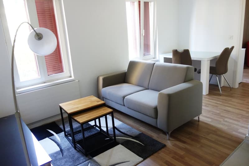 To rent: Friendly 2-room apartment in Rorschach (1)