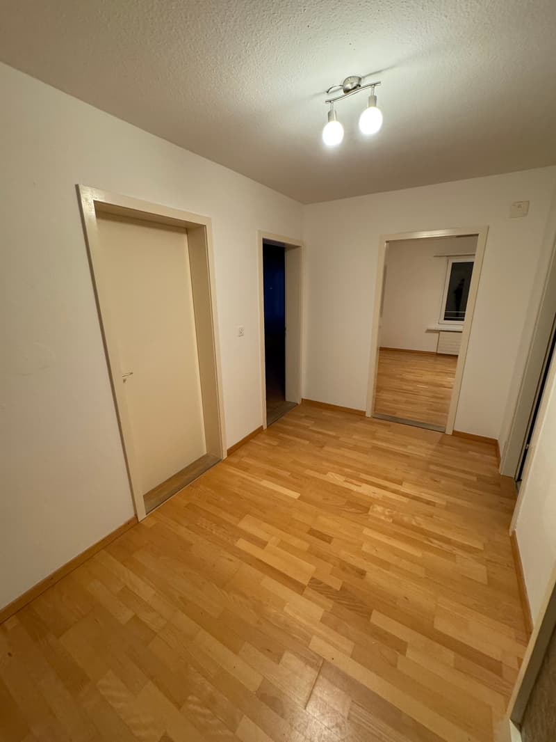 Ampio appartamento di 4 locali in affitto (2)