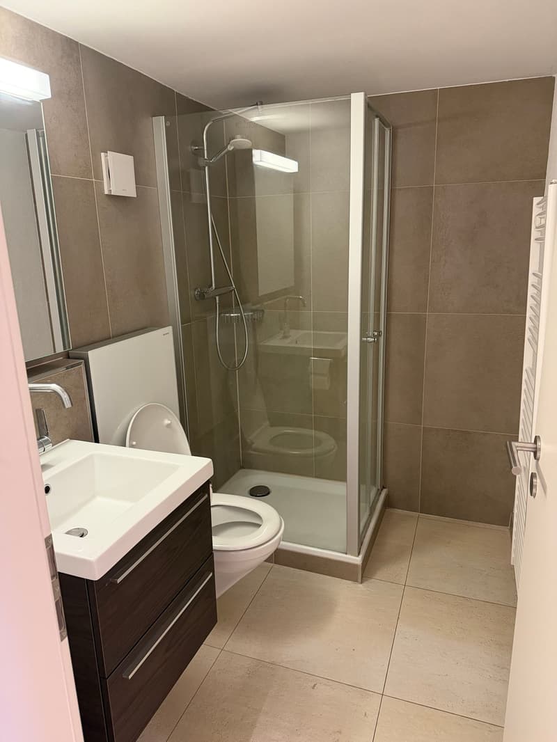 Charming, furnished 2-room apartment with balcony in Rorschach (8)