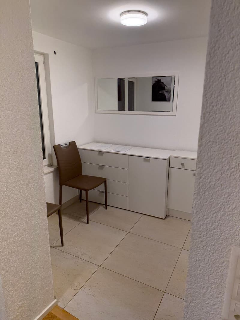 Charming, furnished 2-room apartment with balcony in Rorschach (7)