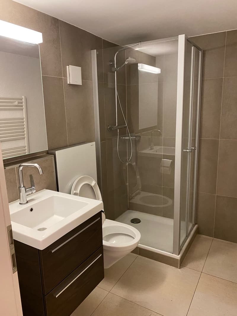 Charming, furnished 2-room apartment with balcony in Rorschach (4)