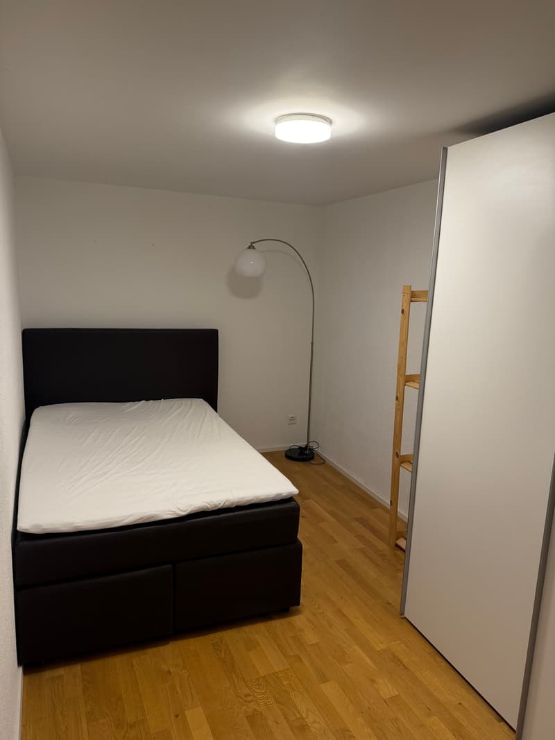 Charming, furnished 2-room apartment with balcony in Rorschach (9)