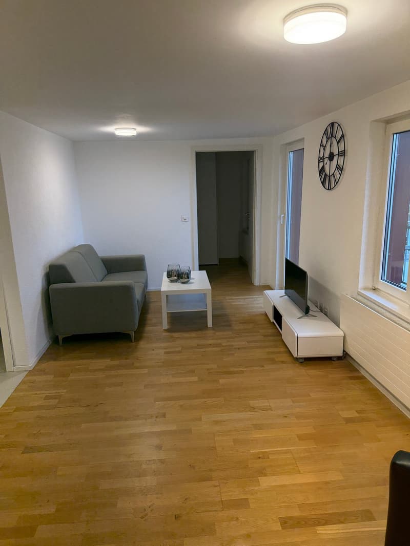 Charming, furnished 2-room apartment with balcony in Rorschach (6)