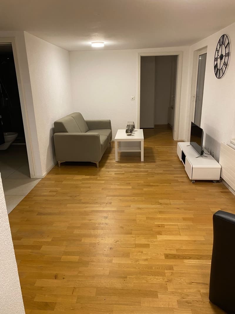Charming, furnished 2-room apartment with balcony in Rorschach (2)