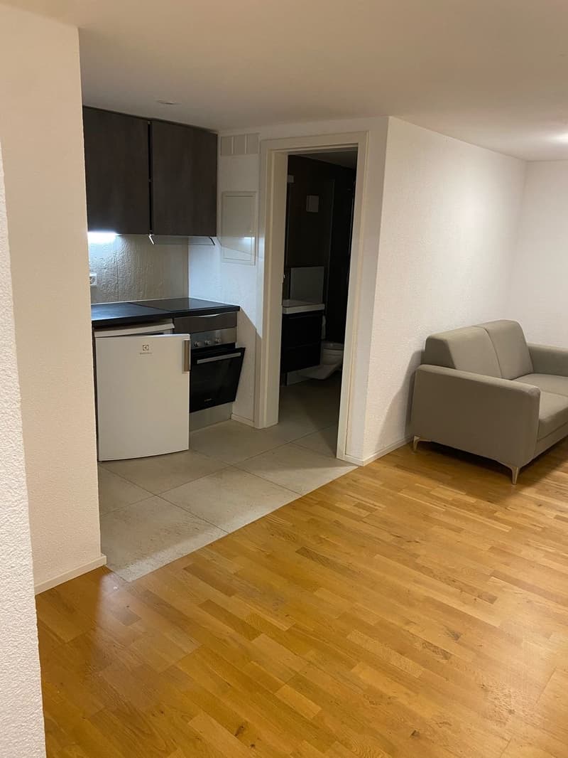 Charming, furnished 2-room apartment with balcony in Rorschach (3)