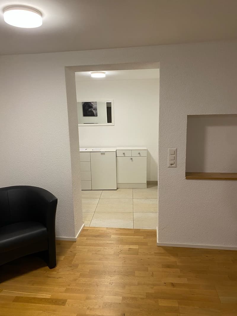 Charming, furnished 2-room apartment with balcony in Rorschach (5)