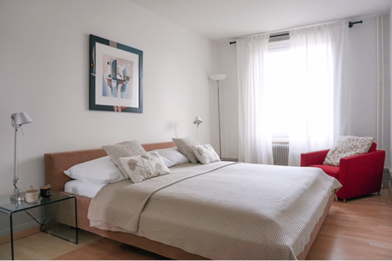 Charming 1.5 room apartment with weekly cleaning service for rent (2)