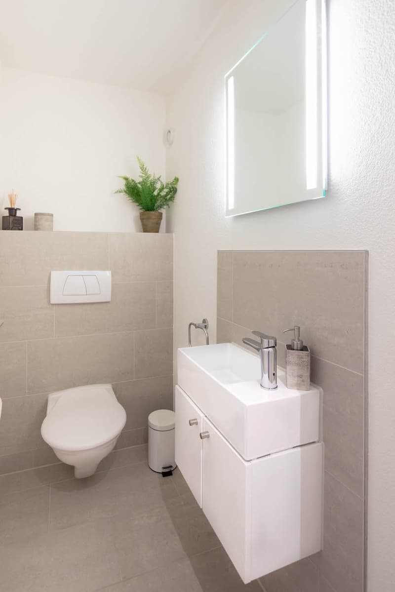 Bathroom features white fixtures, tiles, toilet, and a large wall-mounted mirror, with a shelf holding a potted plant.