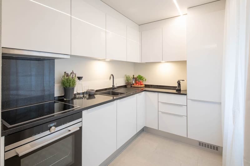 modern kitchen with white cabinets, black countertops, stainless steel appliances, black stovetop, dishwasher, and plants on the counter