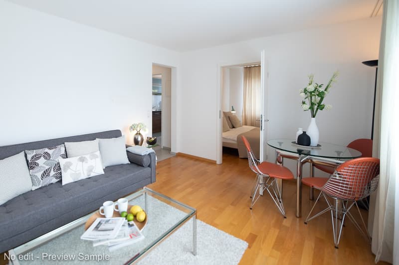 Modern furnished 1-bedroom apartment with balcony and weekly cleaning service for rent (1)