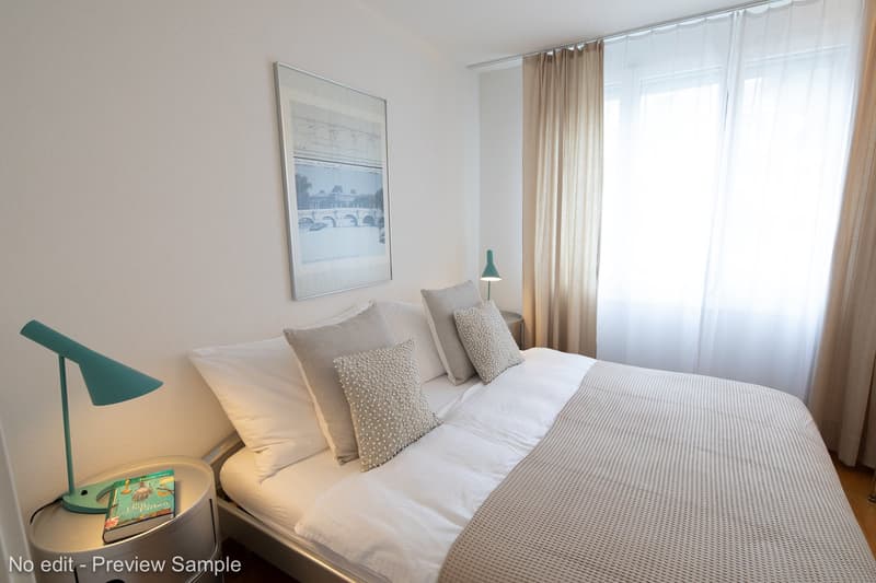 Modern furnished 1-bedroom apartment with balcony and weekly cleaning service for rent (3)