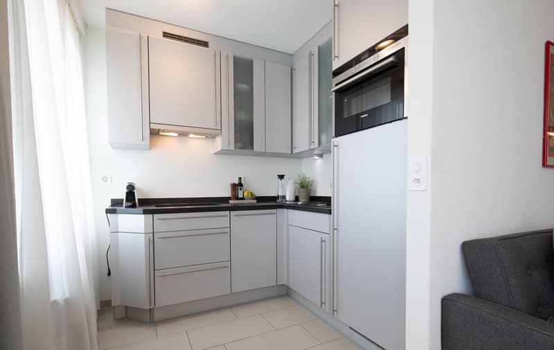 Furnished Studio Apartment in Zurich Wiedikon – Cleaning Service (4)