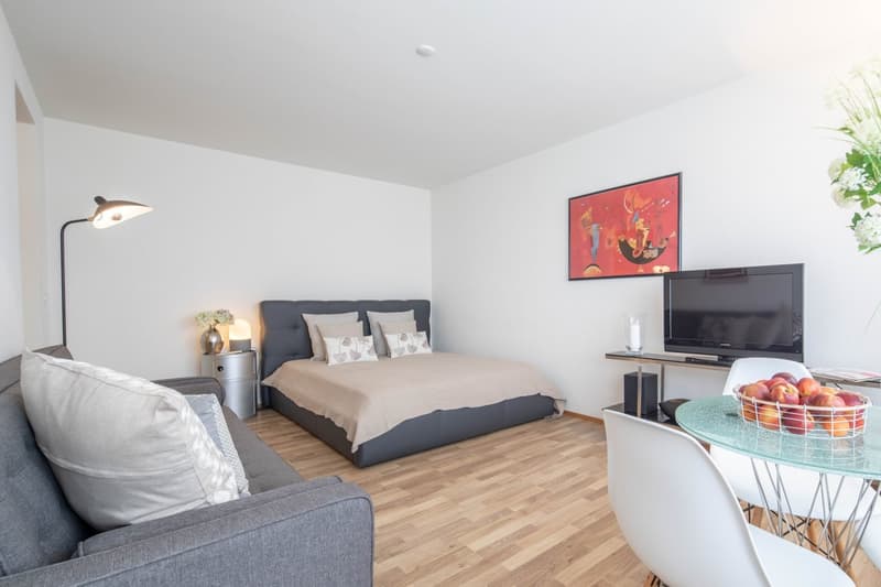 Furnished Studio Apartment in Zurich Wiedikon – Cleaning Service (1)