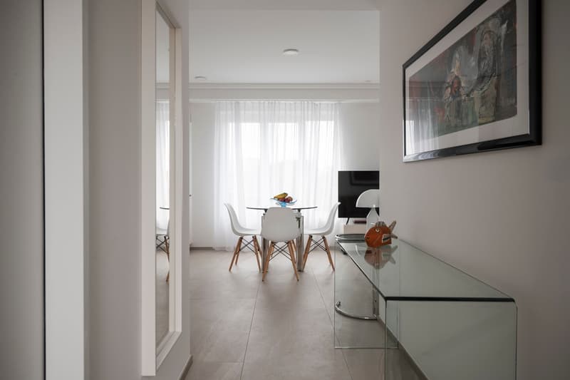 Incantevole appartamento mansardato di 2,5 locali con balcone a Zürich Wiedikon (8)