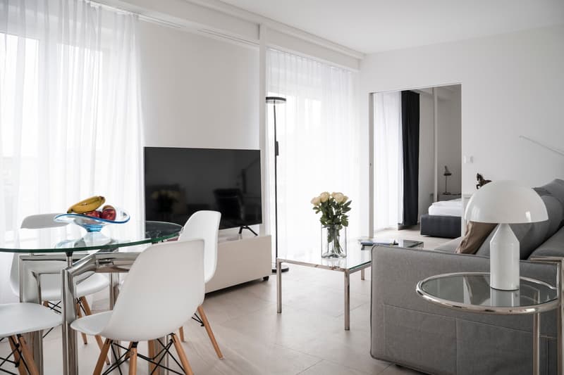 Incantevole appartamento mansardato di 2,5 locali con balcone a Zürich Wiedikon (5)