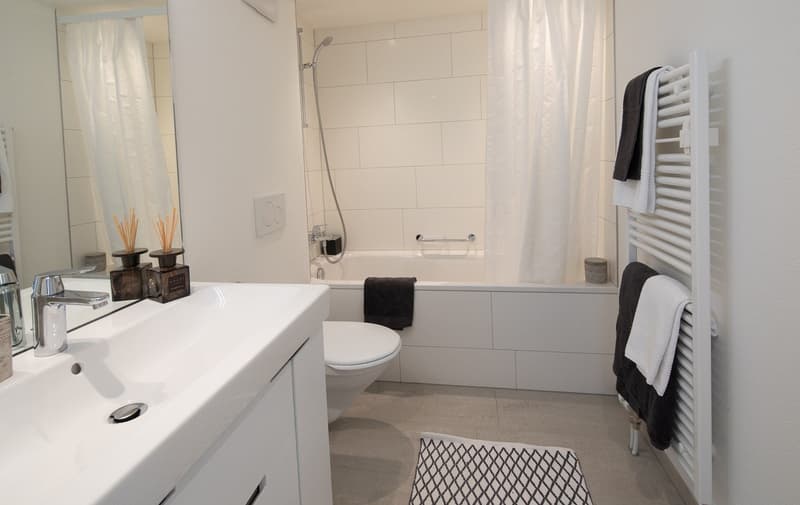 Cozy Furnished 1.5-Room Apartment with Balcony in Zürich Wiedikon (2)