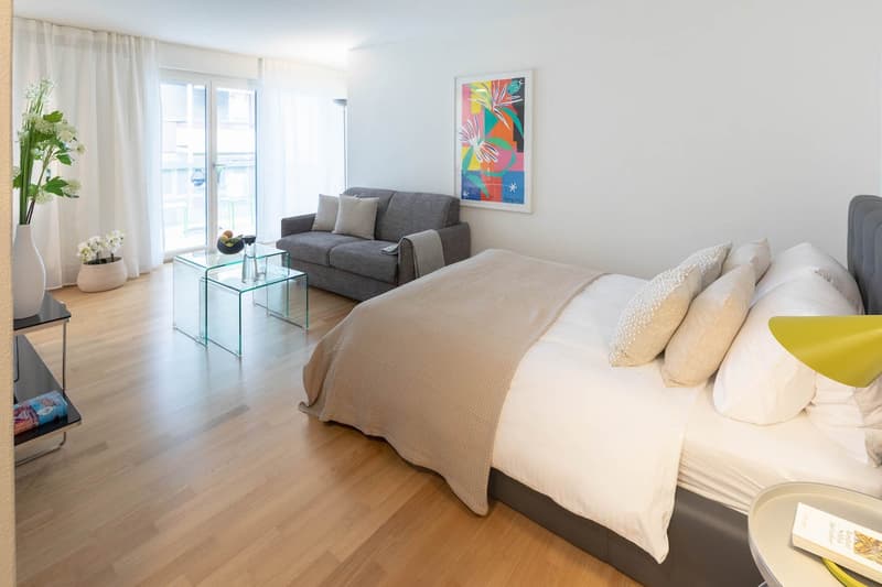 Cozy Furnished 1.5-Room Apartment with Balcony in Zürich Wiedikon (4)
